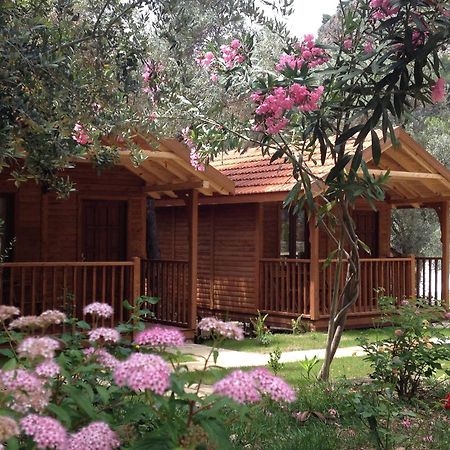 Kidrak Otel Montenegro-1 فاراليا المظهر الخارجي الصورة