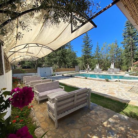 Kidrak Otel Montenegro-1 فاراليا المظهر الخارجي الصورة